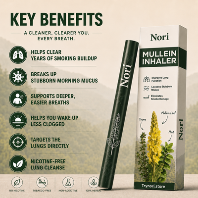 Nori Mullein Purifier
