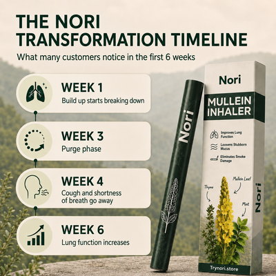 Nori Mullein Purifier
